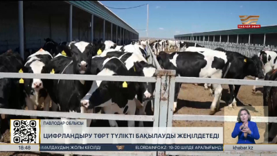 Цифрландыру төрт түлікті бақылауды жеңілдетеді