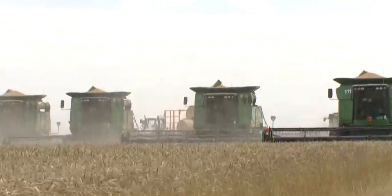 Казахстан ожидает урожай зерновых на уровне 18 млн тонн