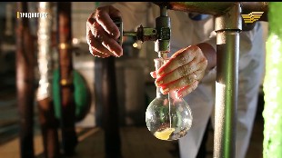 &laquo;Продвопрос&raquo;. Разведение перепелов в Мангыстау