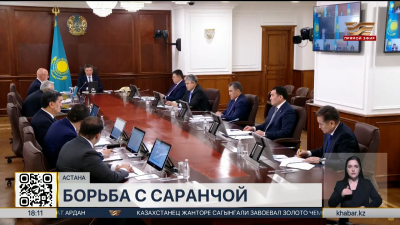 Более 7 млрд тенге выделили на борьбу с саранчой в Казахстане
