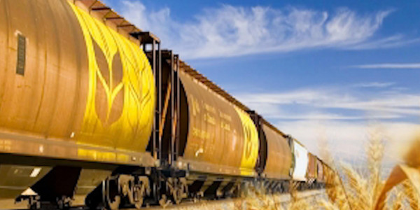 Маңғыстауға Ақмола облысынан 10 вагон арпа жеткізілді