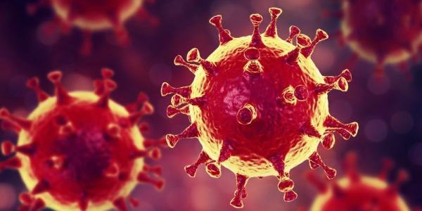 В Казахстане зафиксированы первые 2 случая заражения коронавирусом