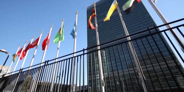 Союзники России &ndash; кто они? &laquo;Новый курс&raquo;