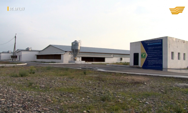 «Ас арқау». Жамбыл облысындағы жаңа құс фабрикасы