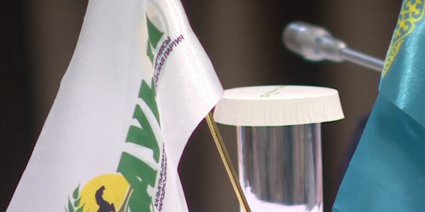 Члены партии &laquo;Ауыл&raquo; предложили выплачивать казахстанцам соцпособие с рождения до 18 лет