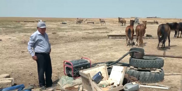 Животноводы Макатского района не могут получить субсидии