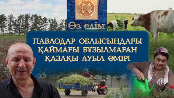 Павлодар облысындағы қаймағы бұзылмаған қазақы ауыл өмірі | Өз елім