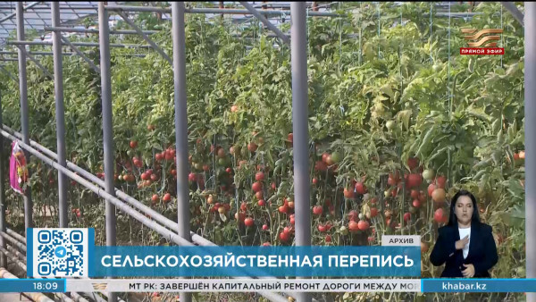 Пилотную сельскохозяйственную перепись проведут в Казахстане