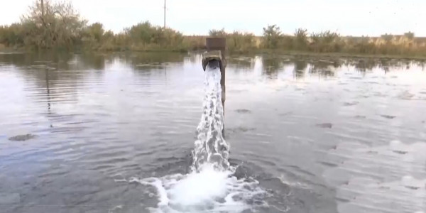 Корреспонденты помогли жителям в ВКО решить вопрос с водоснабжением