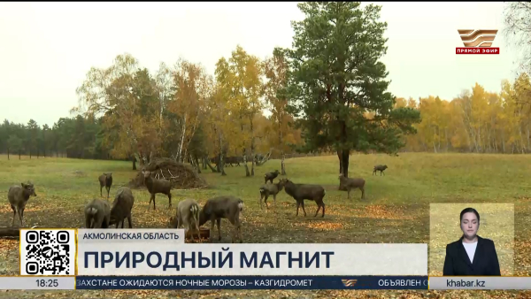 Туристический поток в Бурабае увеличился на 15% в текущем сезоне