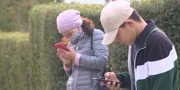 Әлеуметтік желідегі әжуа: Кибербуллинг күшейіп барады