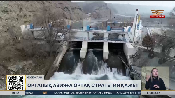 Суды әділ бөлу: Орталық Азияға ортақ стратегия қажет