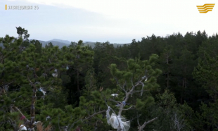 &laquo;Экспедиция 25. Қарқаралы