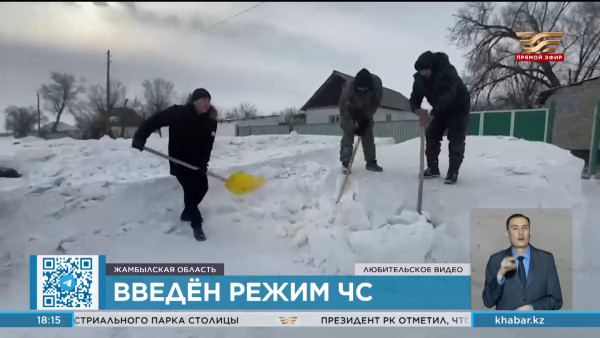 С морозами столкнулись южные регионы Казахстана