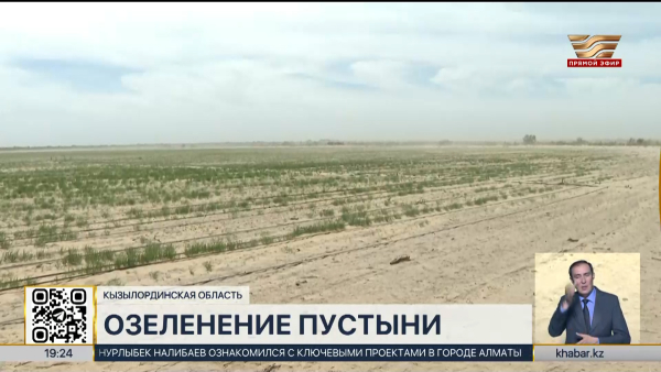 Более 1 млн гектаров саксаула высадили на высохшем дне Арала