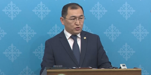 Оңтүстік Кореяда заңсыз жұмыс істеп жүрген жерлестеріміз біршама азайды