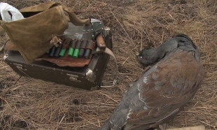 В ВКО за 20 дней было задержано больше 300 браконьеров