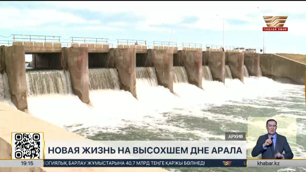 Более миллиона саженцев высадили на высохшем дне Арала