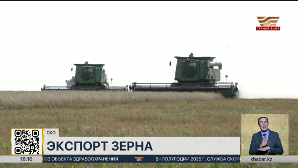 Почти 2 млн тонн зерна экспортировали из СКО с начала года