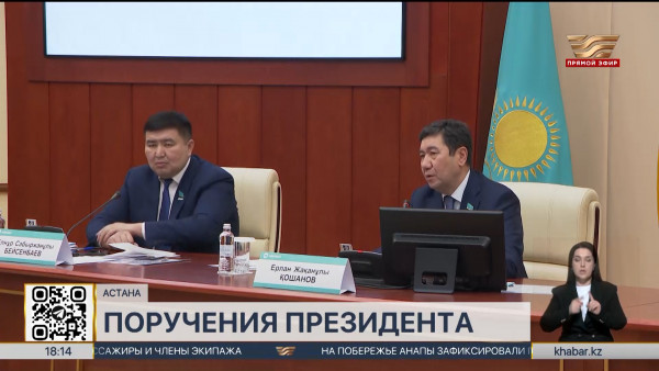 Реализацию поручений Президента обсудили члены партии &laquo;AMANAT&raquo;