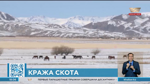 450 скотокрадов задержано в Казахстане за 2023 год