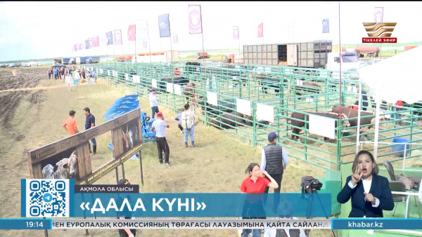 Ақмола облысында дәстүрлі &laquo;Дала күні&raquo; көрмесі өтіп жатыр