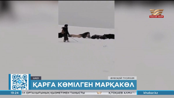 Марқакөл халқы мал басын сақтап қалу үшін жанталасып жатыр
