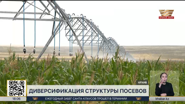 Посевы водозатратных культур сократят в РК