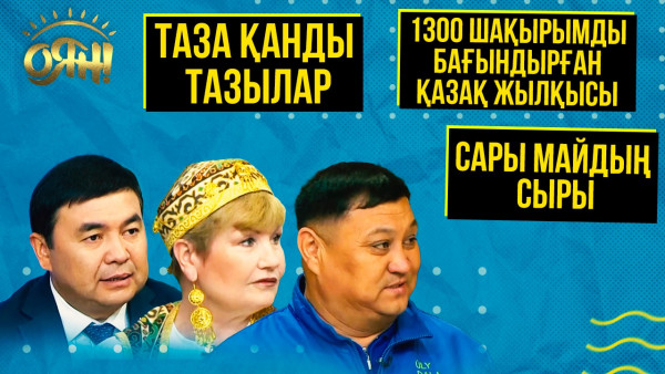 1300 шақырымды бағындырған қазақ жылқысы, таза қанды тазылар, сары майдың сыры | Толық нұсқа