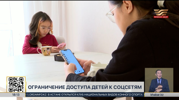 Ограничить регистрацию детей до 16 лет в соцсетях предлагают в РК