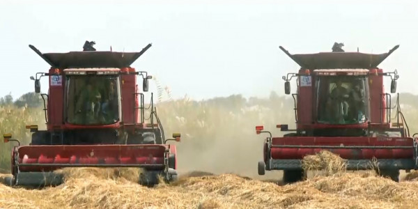 Ауыл шаруашылығында қандай мәселелер бар?