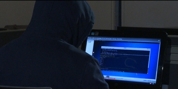 Данные 11 млн казахстанцев оказались в открытом доступе в Интернете