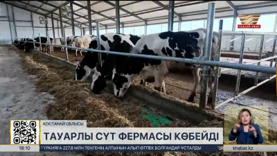 Тауарлы сүт фермасы көбейді