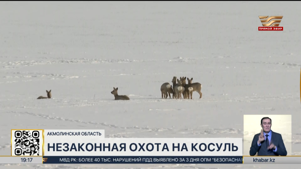 Трёх браконьеров привлекли к уголовной ответственности в Акмолинской области