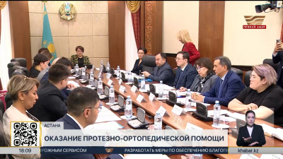 Пути улучшения протезно-ортопедической помощи обсудили в Сенате