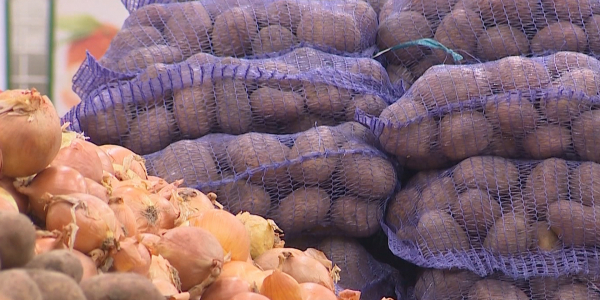 Введен запрет на импорт овощей и фруктов Кыргызстана и Узбекистана в РК