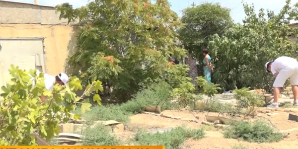 Ақтаудың ерікті жастары мұқтаж жандарға көмектесетін жобаны қолға алды