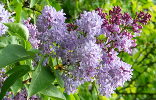 Синоптики опубликовали прогноз на выходные в Казахстане