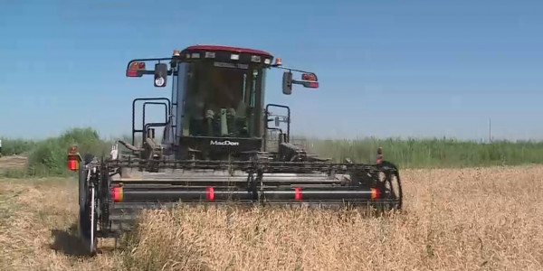 Қасым-Жомарт Тоқаев Үкіметке егін науқанын қатаң бақылауда ұстауды тапсырды