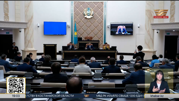 Сенат одобрил Закон об амнистии