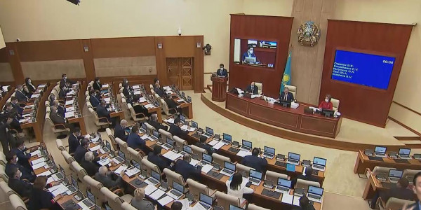 Увеличить пособие по уходу за ребенком предлагают в Казахстане