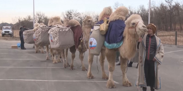 Шымкентте &laquo;Уақыт керуені&raquo; шарасы өтті