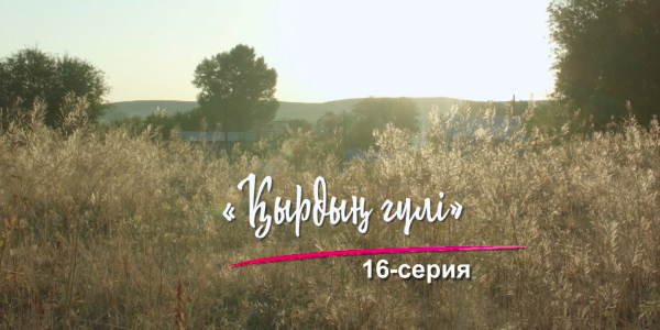 &laquo;Шашу&raquo;. &laquo;Қырдың гүлі&raquo; 16-серия