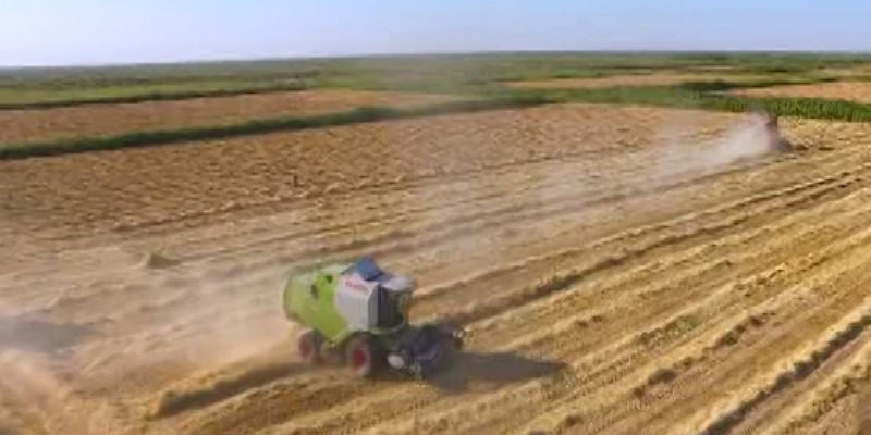 Дефицита риса в Казахстане не будет
