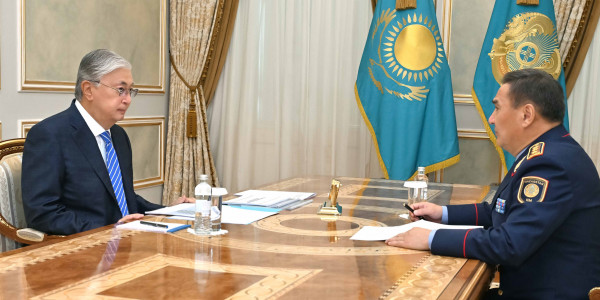 Глава государства принял министра внутренних дел Марата Ахметжанова