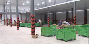 В ЕАЭС в скором времени будут отслеживать перемещение поставок овощей и фруктов