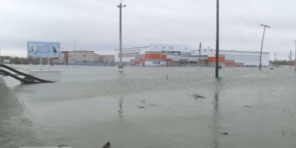 Ақтөбе облысында полицейлер су басқан үйлерді күзетуге кірісті