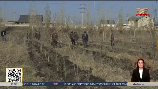 Экоакция &laquo;Таза Қазақстан&raquo; продолжается в регионах страны