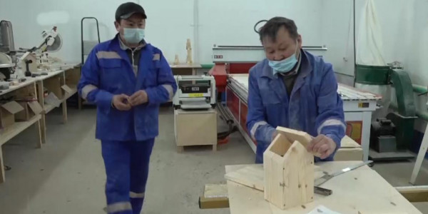 Ертіс өңірінде эко-ойыншықтар өндіретін алғашқы шеберхана жұмысын бастады