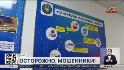 12 подозреваемых в интернет-мошенничестве задержали в Жамбылской области